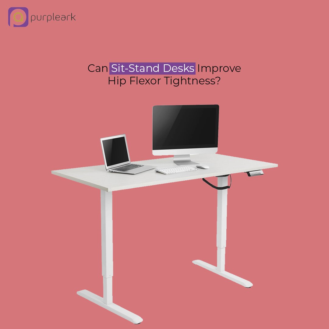 Can Sit-Stand Desks Improve Hip Flexor Tightness? - Purpleark