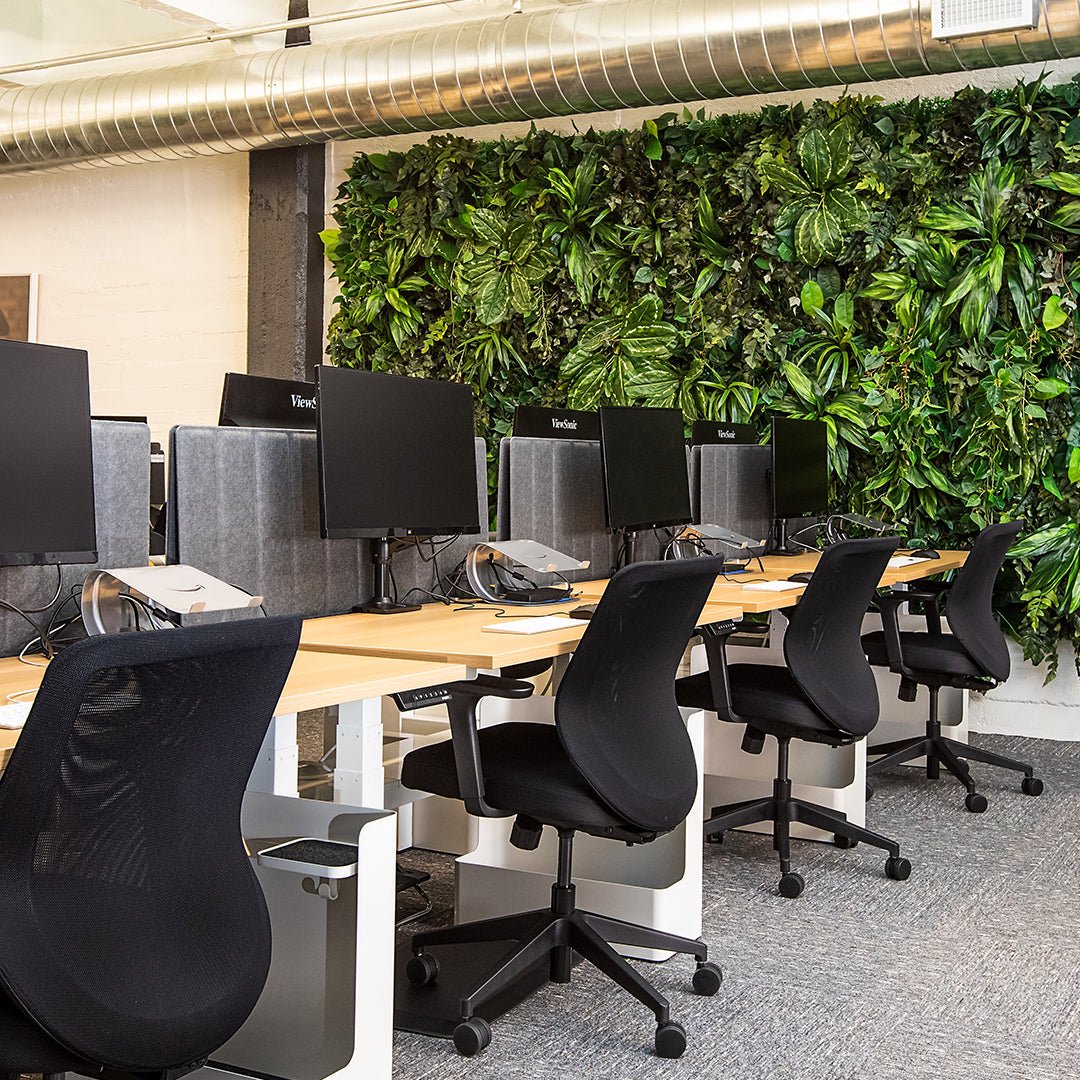 Why Is an Ergonomic Office Better for Your Spine? - Purpleark