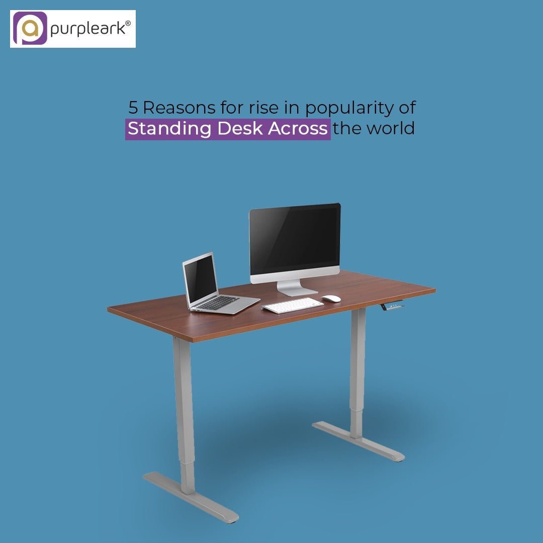 5 Reasons for rise in popularity of Standing Desk Across the world - Purpleark