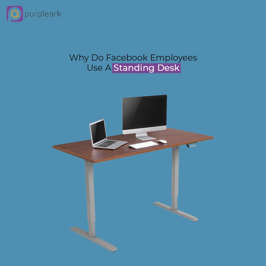 Why Do Facebook Employees Use A Standing Desk? - Purpleark