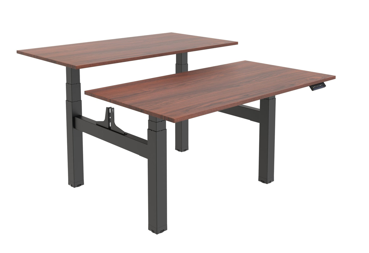 Electric Height Adjustable Table, Back to Back - Purpleark